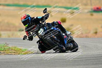 media/May-16-2025-2WTD (Fri) [[87c82739e1]]/B Group/Session 3 (Turn 4)/